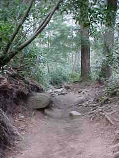 We hiked and we hiked...
