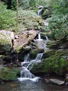 The waterfalls fill the park in Spring.